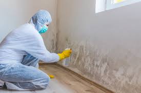 Best Forensic Mold Investigation  in St Matthews, KY