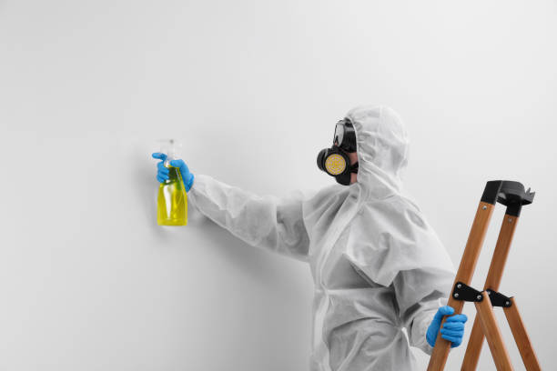 Best Mold Removal for HVAC Installations  in St Matthews, KY